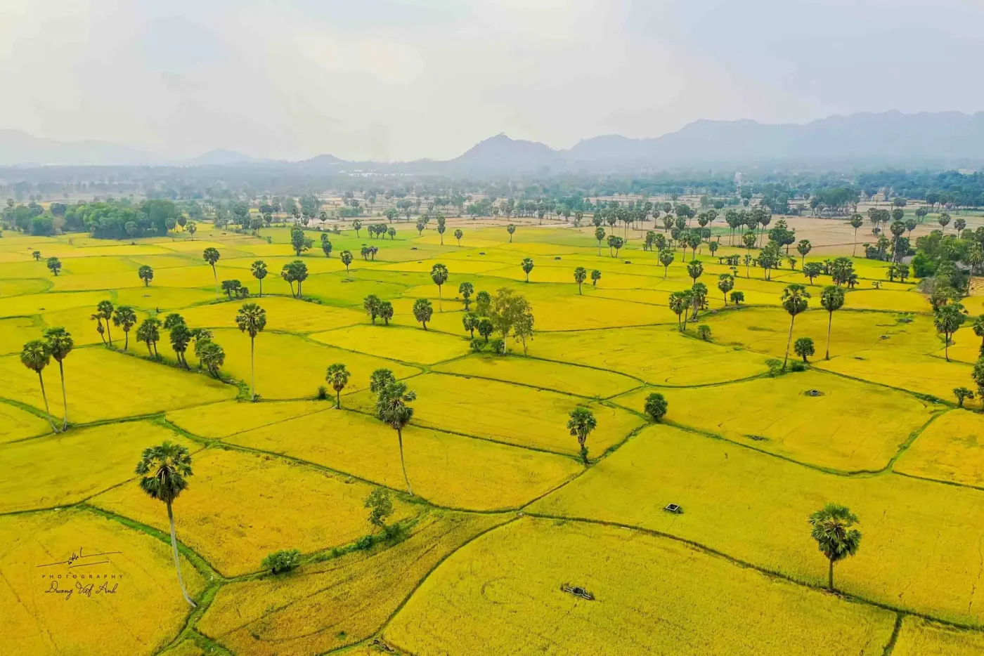 Giới thiệu TNTECH