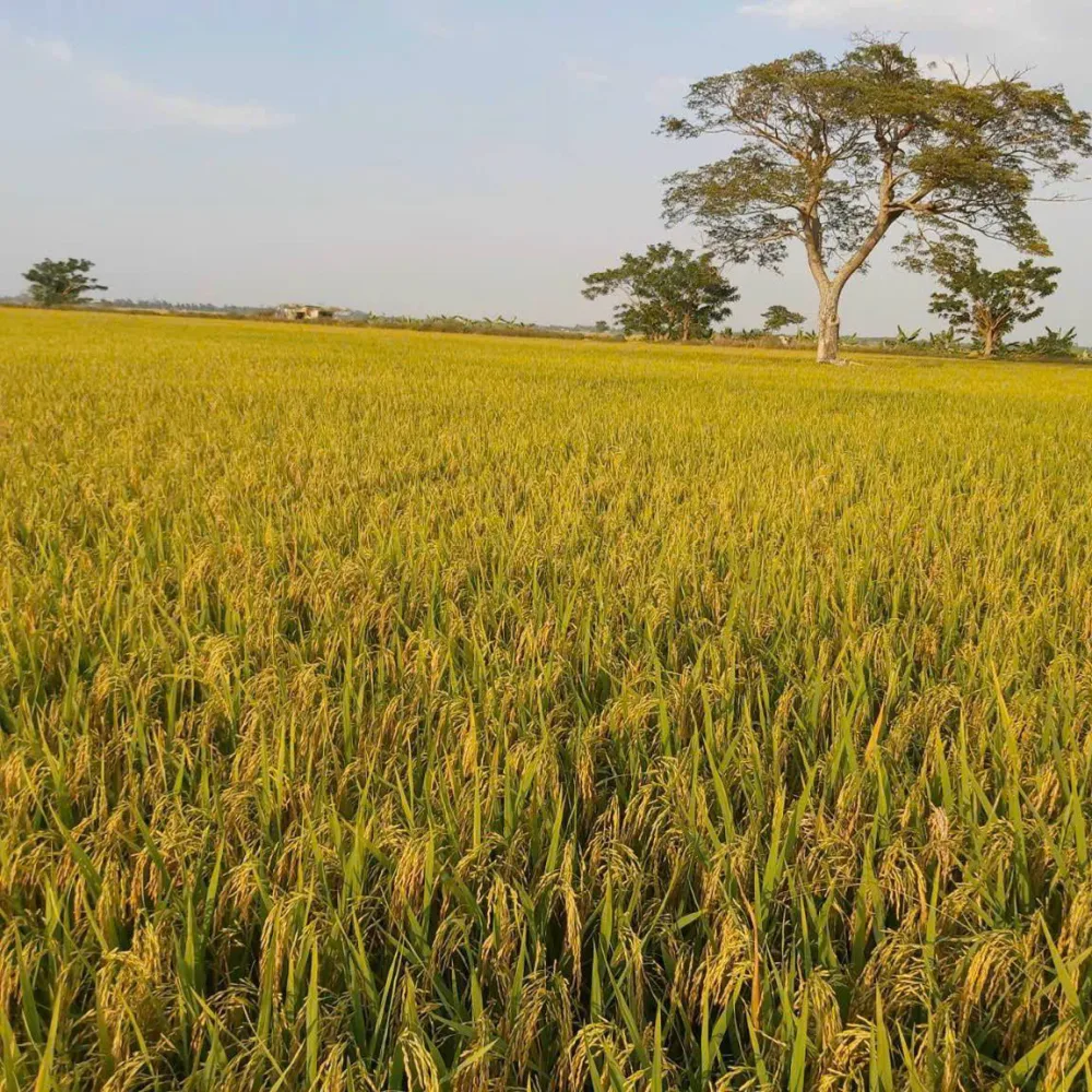 Giới thiệu TNTECH