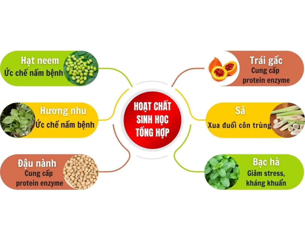 HD02 CHUYÊN SỬ DỤNG CHO CÂY LÚA 250ML