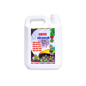 HD02 - HỒI SINH RỄ