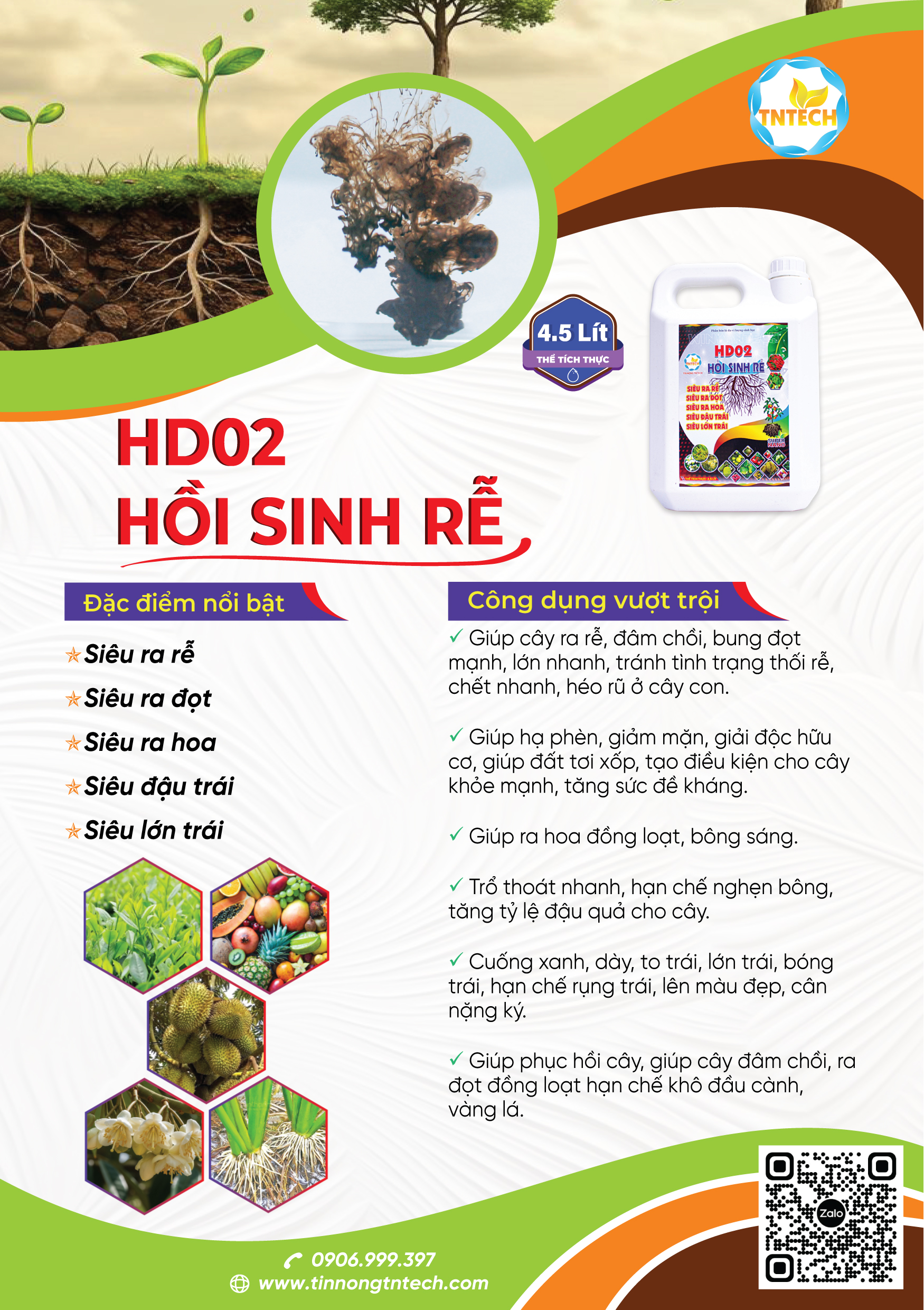 HD02 - HỒI SINH RỄ - Image 2