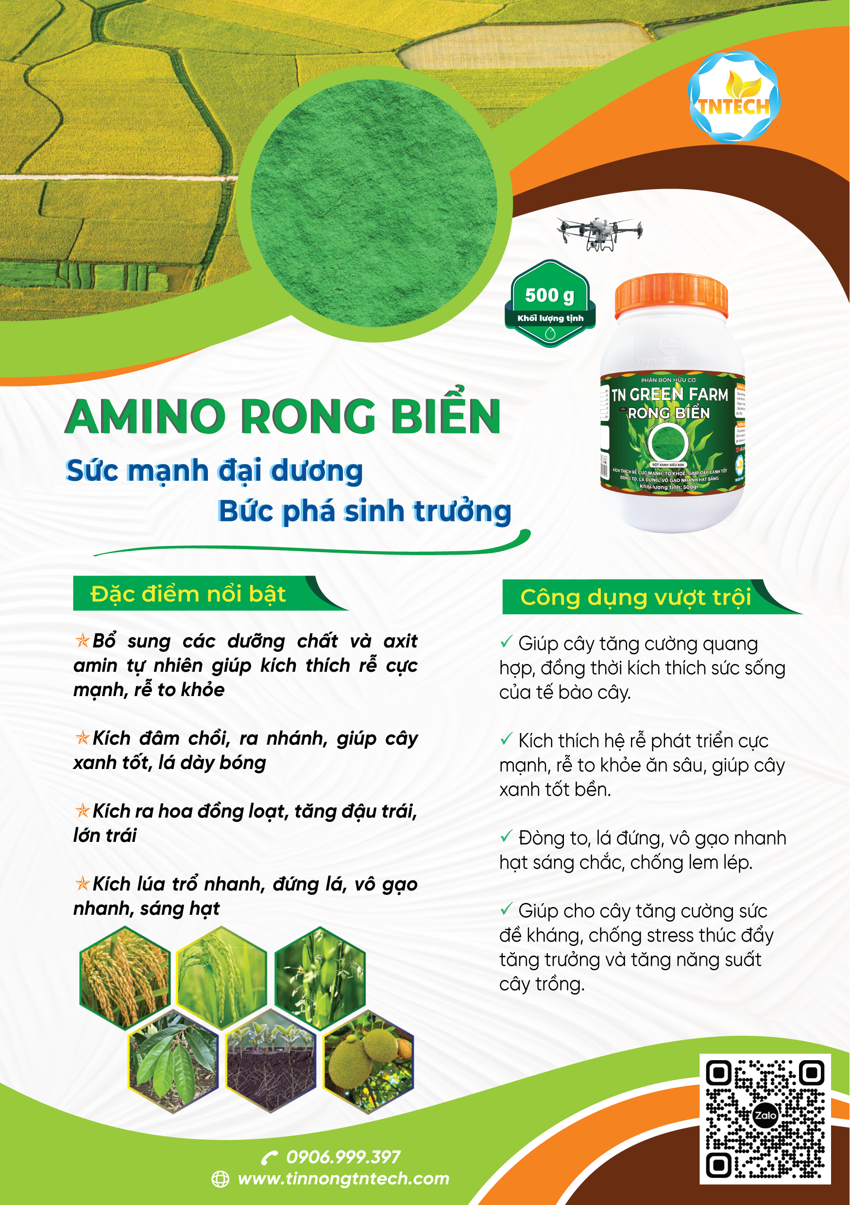 AMINO RONG BIỂN - Image 2