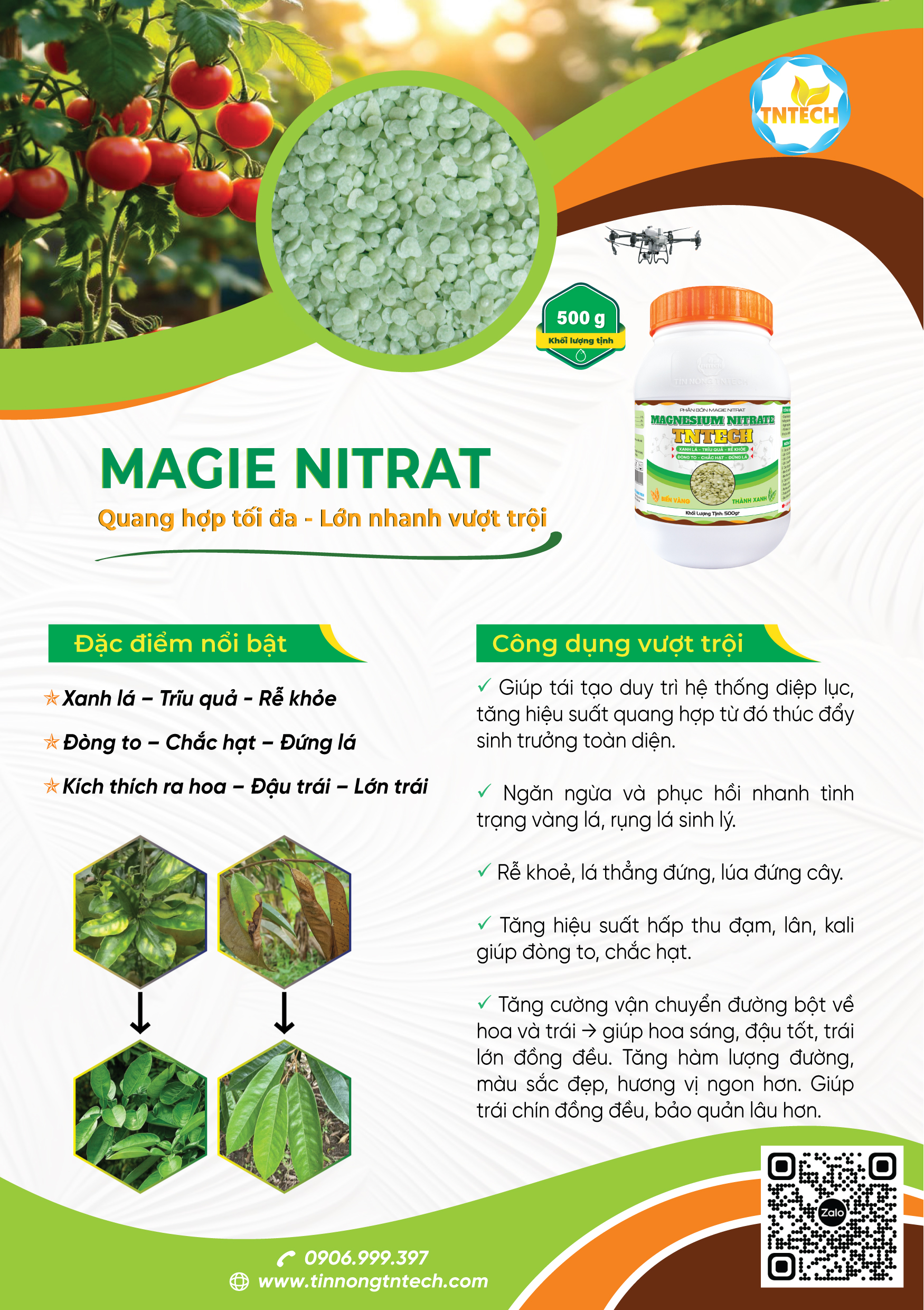 MAGIE NITRAT - Image 2