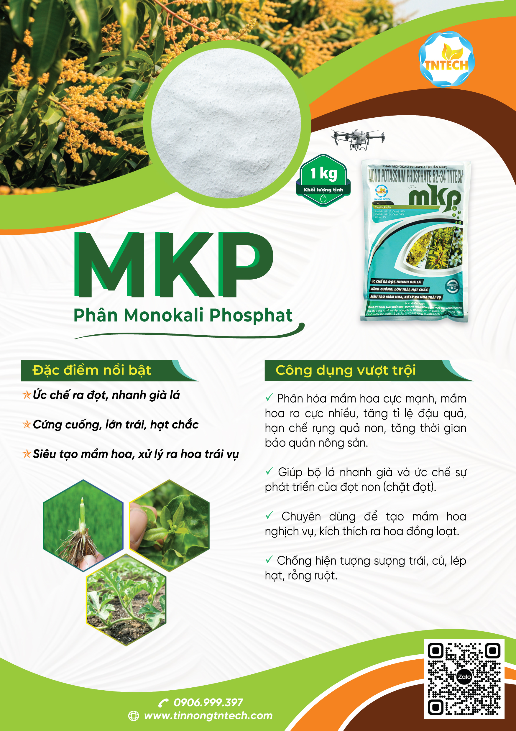 MKP - PHÂN MONOKALI PHOSPHAT - Image 2