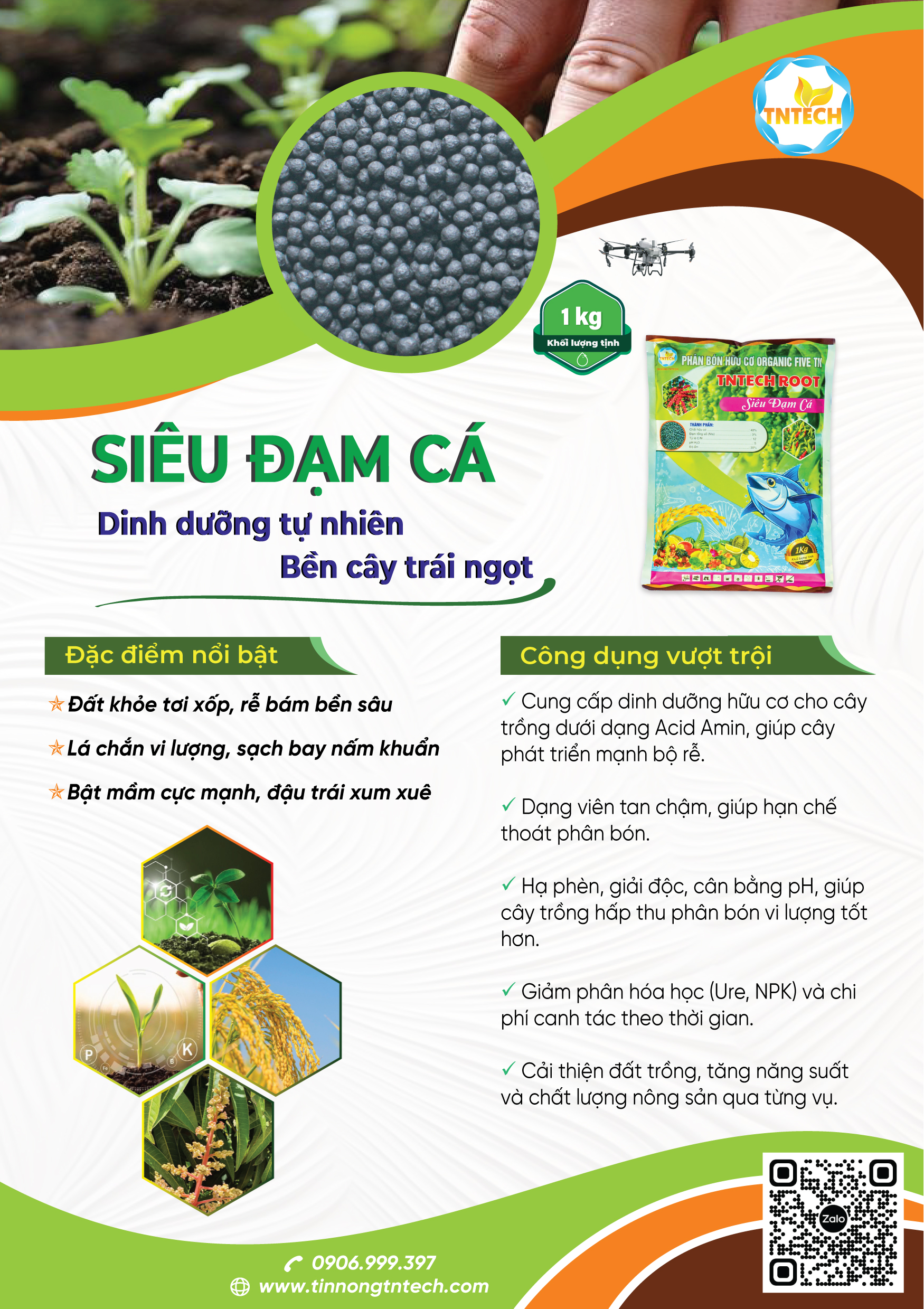 SIÊU ĐẠM CÁ - Image 2