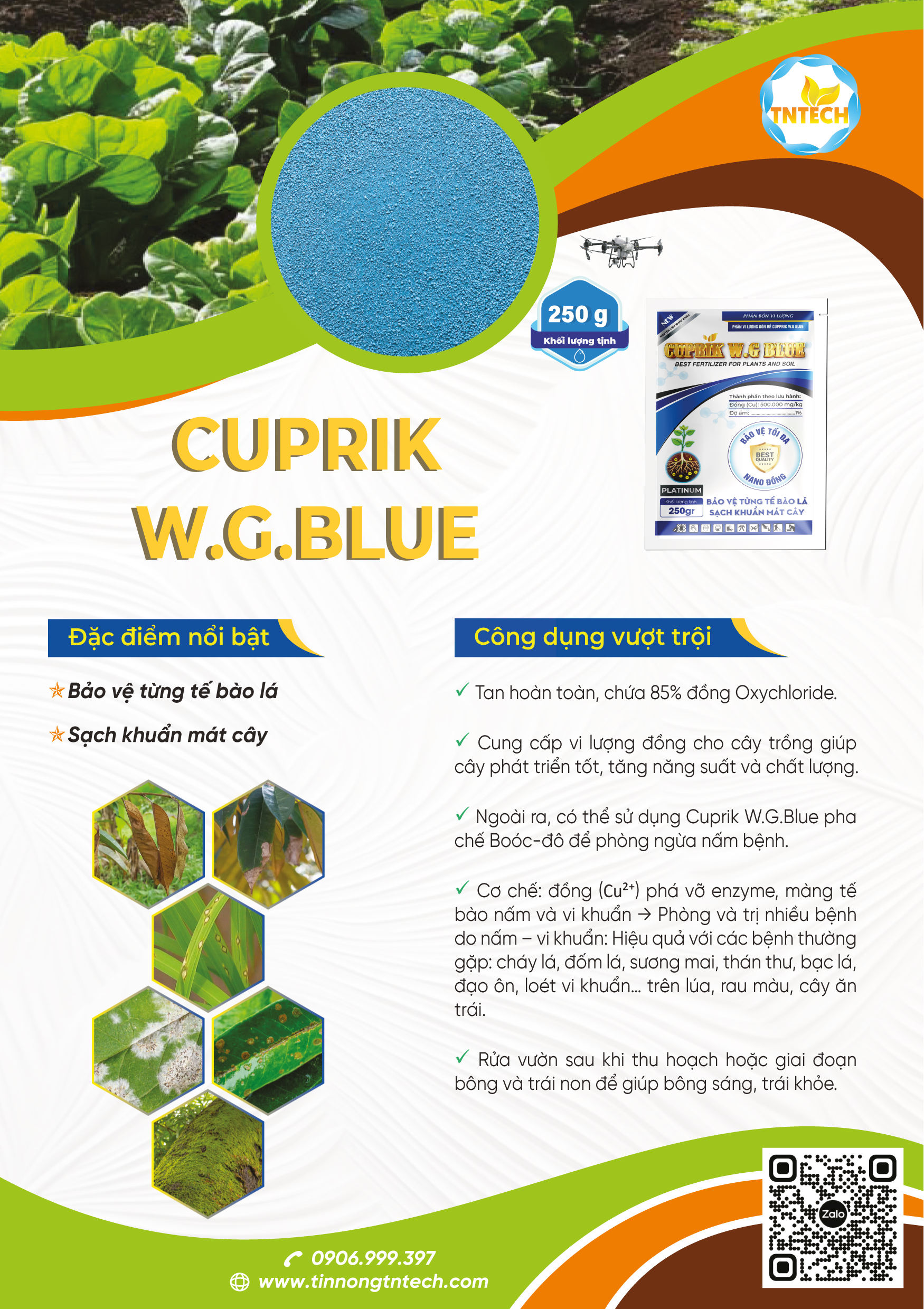 CUPRIK W.G.BLUE - Image 2
