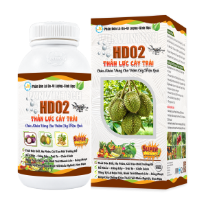 HD02 CÂY ĂN TRÁI - THẦN LỰC CÂY ĂN TRÁI