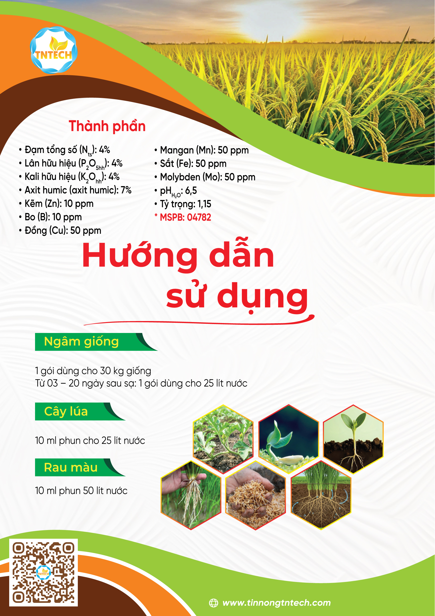 HD02 SIÊU RA RỄ - ĐẺ NHÁNH - Image 4
