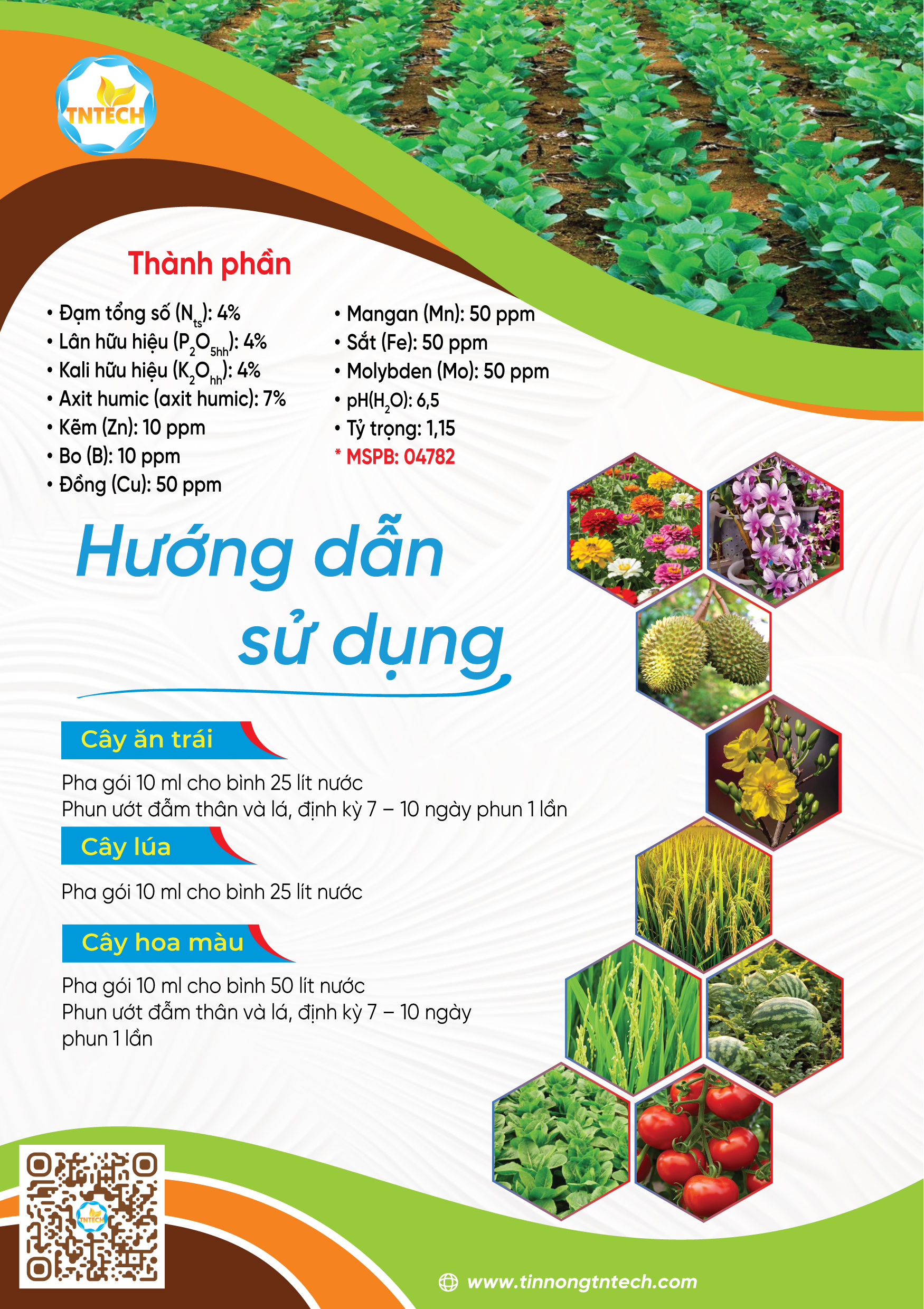 HD02 RAU MÀU - Image 4