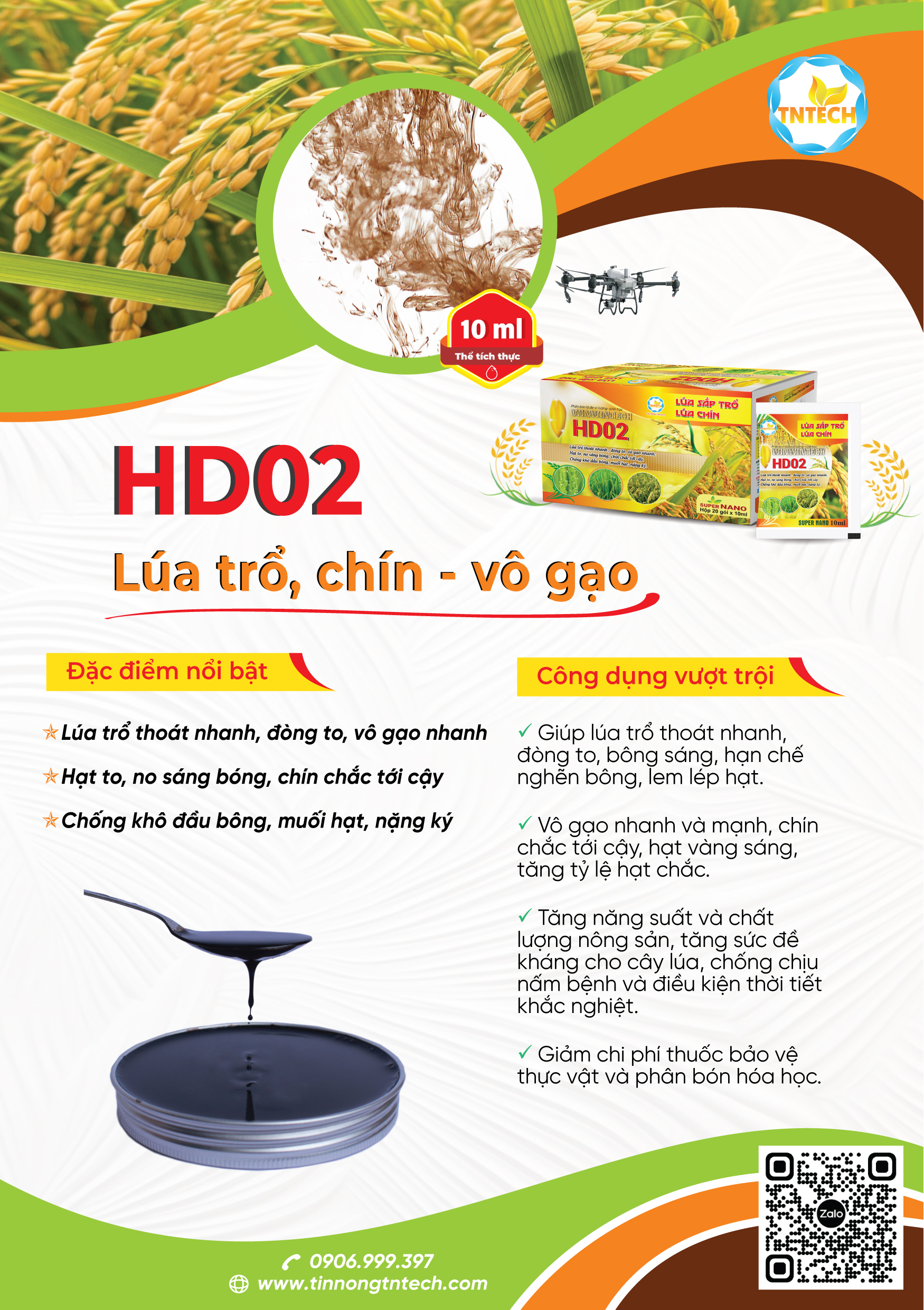 HD02 LÚA TRỔ, CHÍN - VÔ GẠO - Image 4