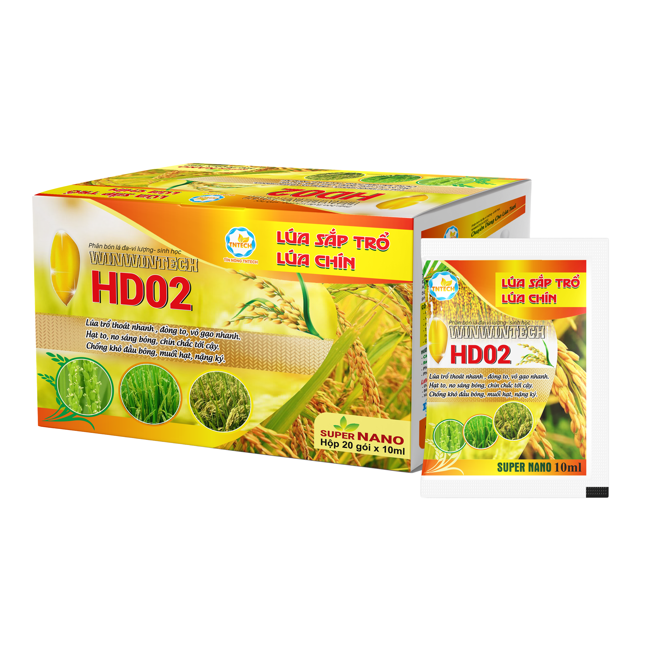 HD02 LÚA TRỔ, CHÍN - VÔ GẠO